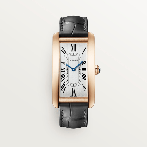 Cartier CRWGTA0134