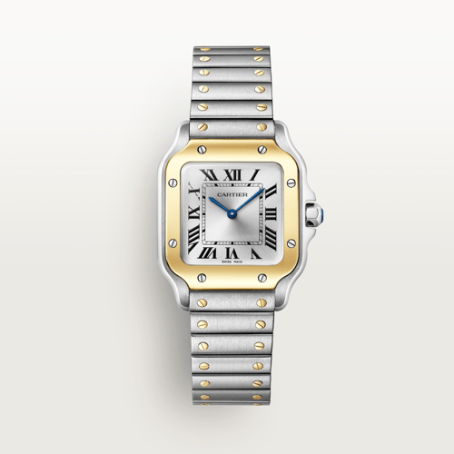 Cartier CRW2SA0033