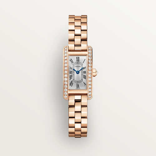 Cartier CRWJTA0057