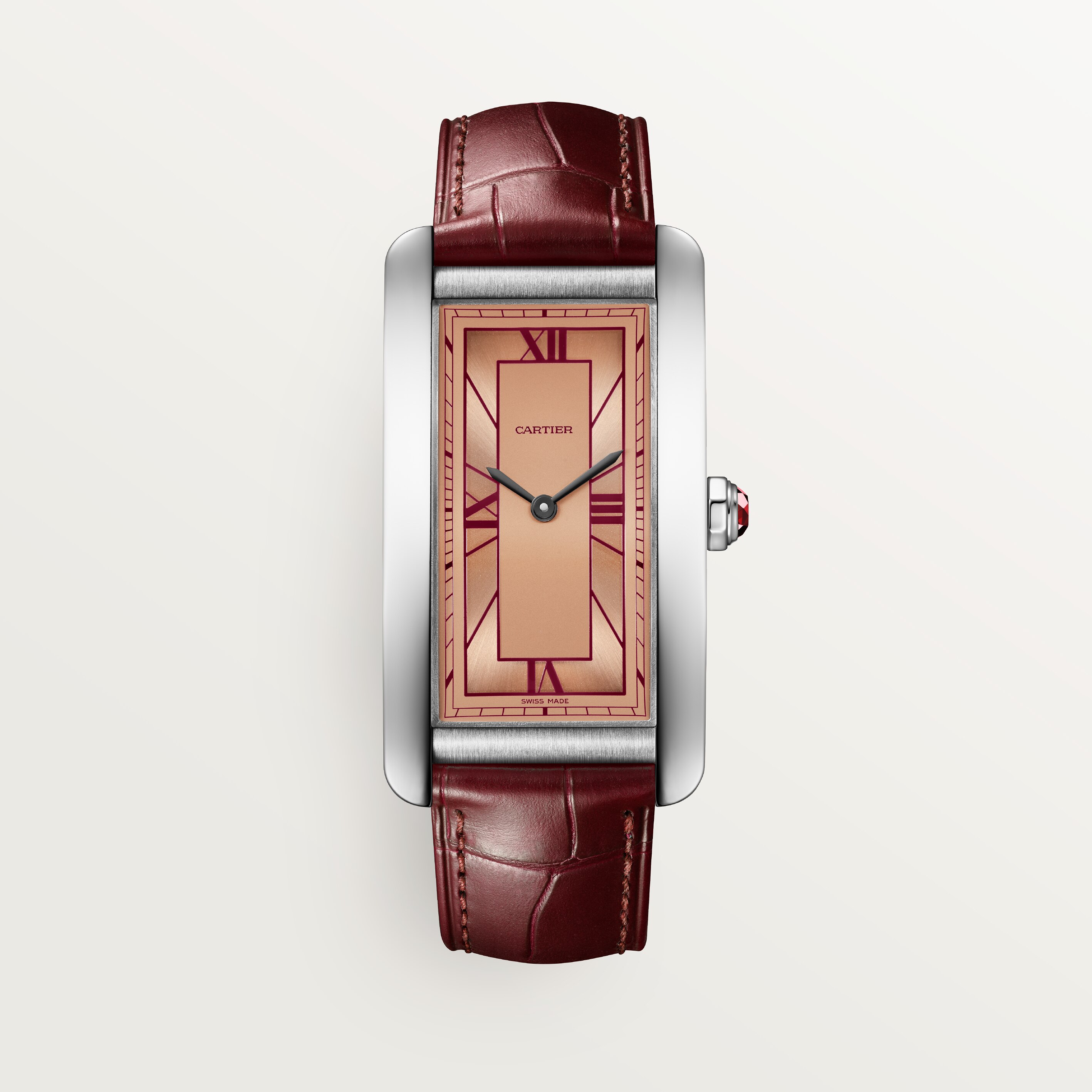 Cartier CRWGTA0297