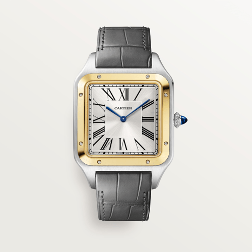 Cartier CRW2SA0034