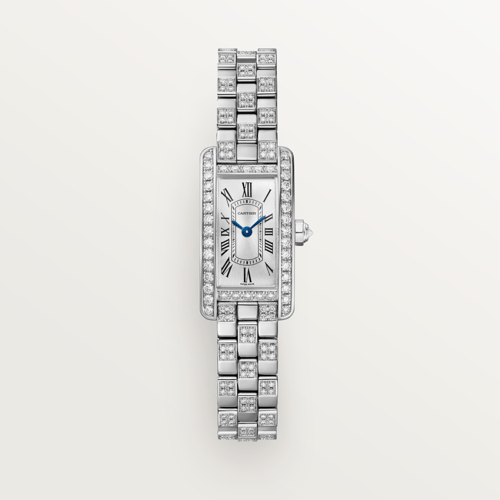 Cartier CRWJTA0067