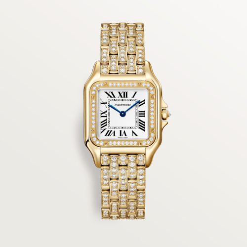 Cartier CRWJPN0060