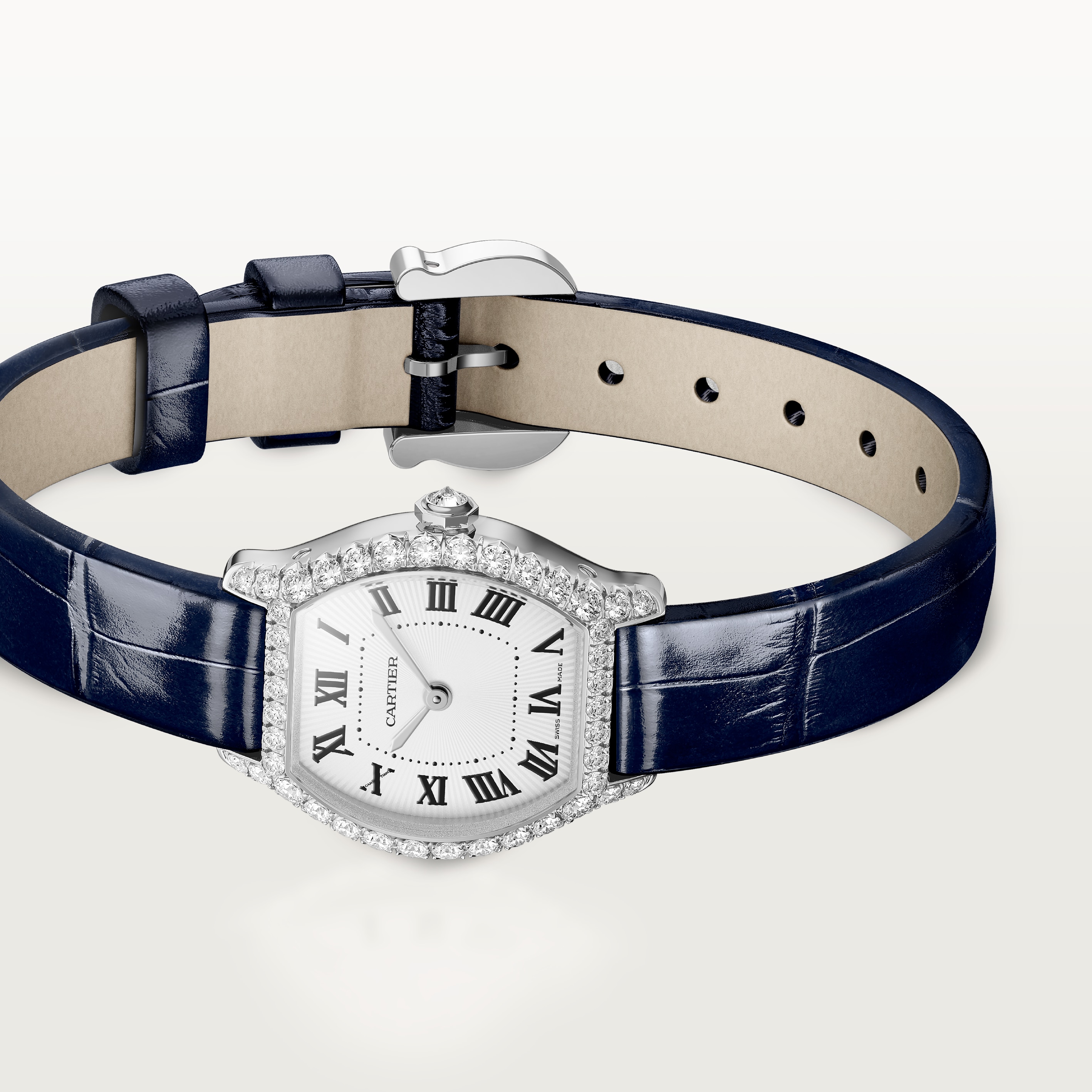 Tortue Watch