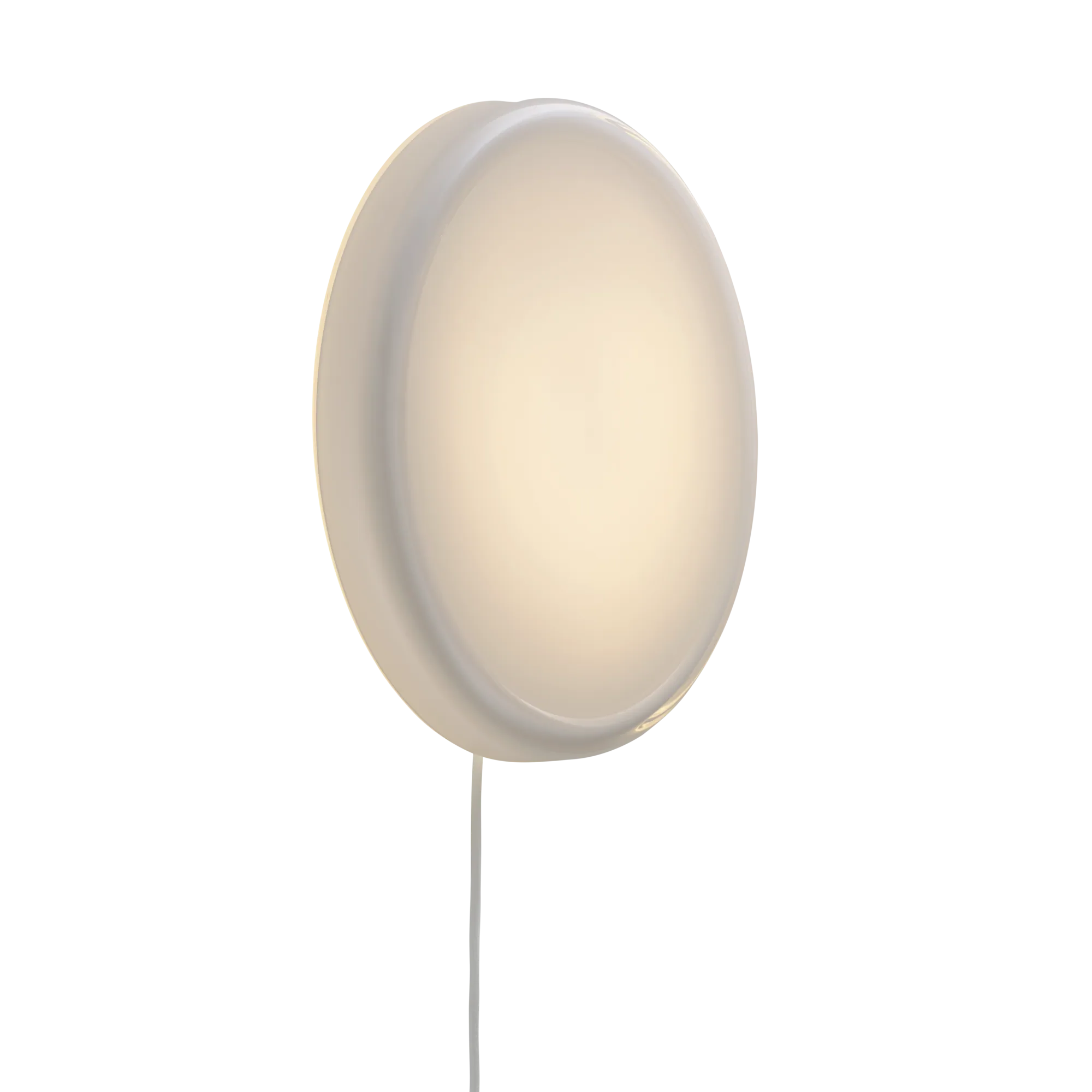 Looped Wall/Ceiling Lamp
