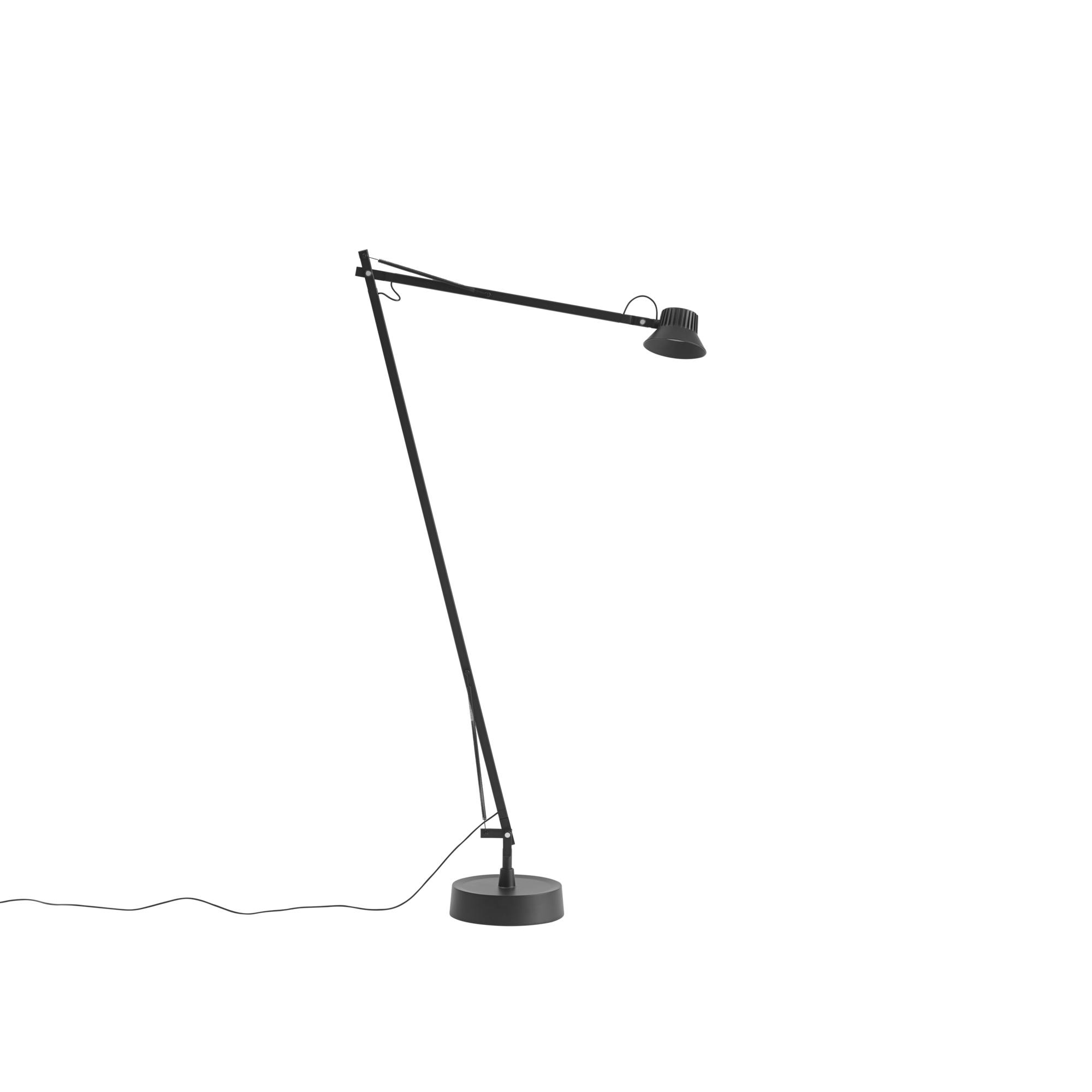 Dedicate Floor Lamp