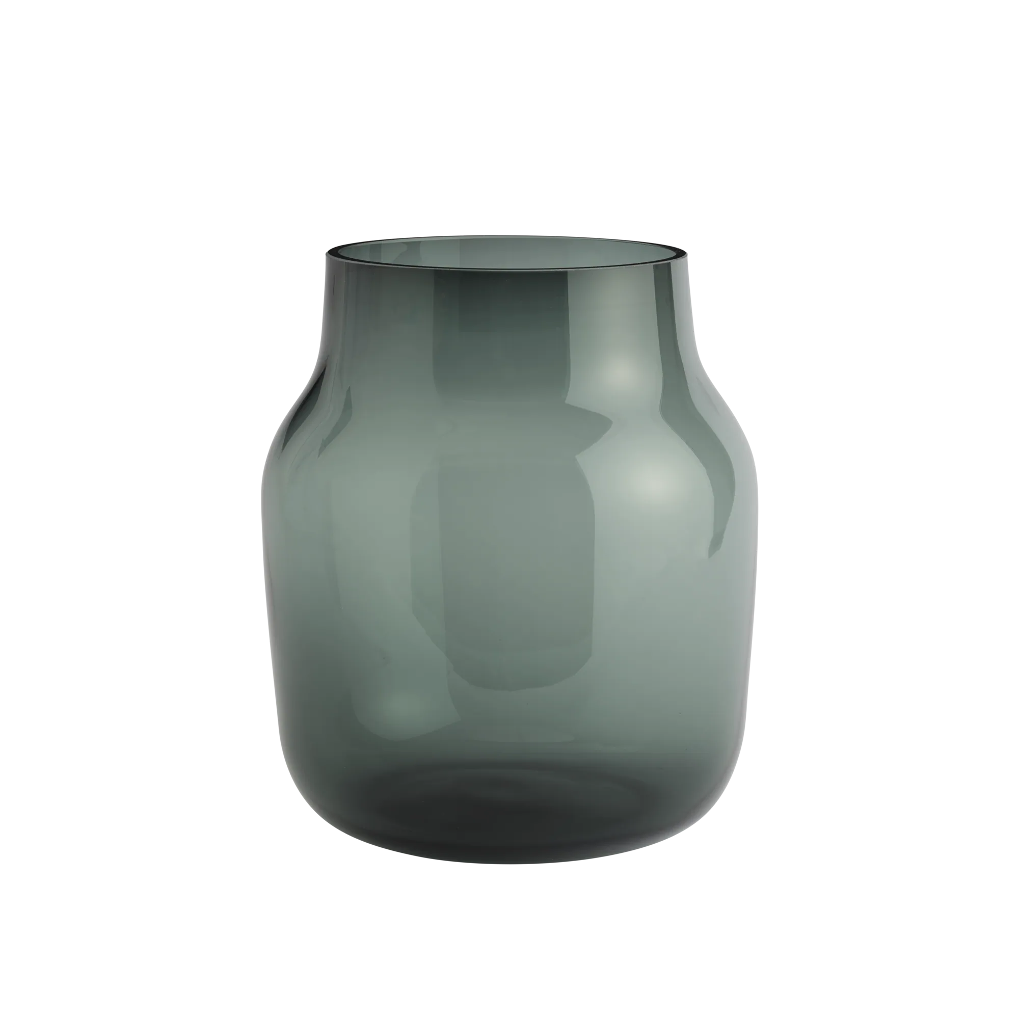 Silent Vase