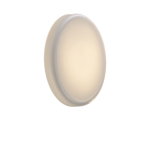 Looped Wall/Ceiling Lamp
