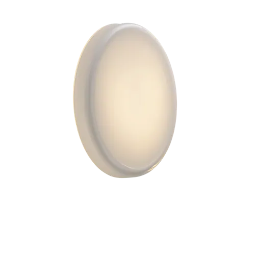 Looped Wall/Ceiling Lamp
