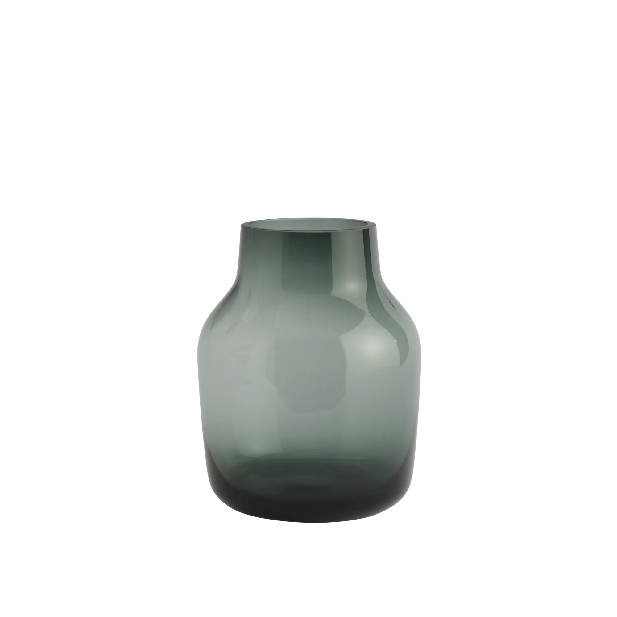 Silent Vase
