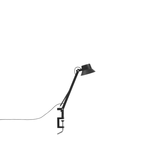 Dedicate Wall Lamp