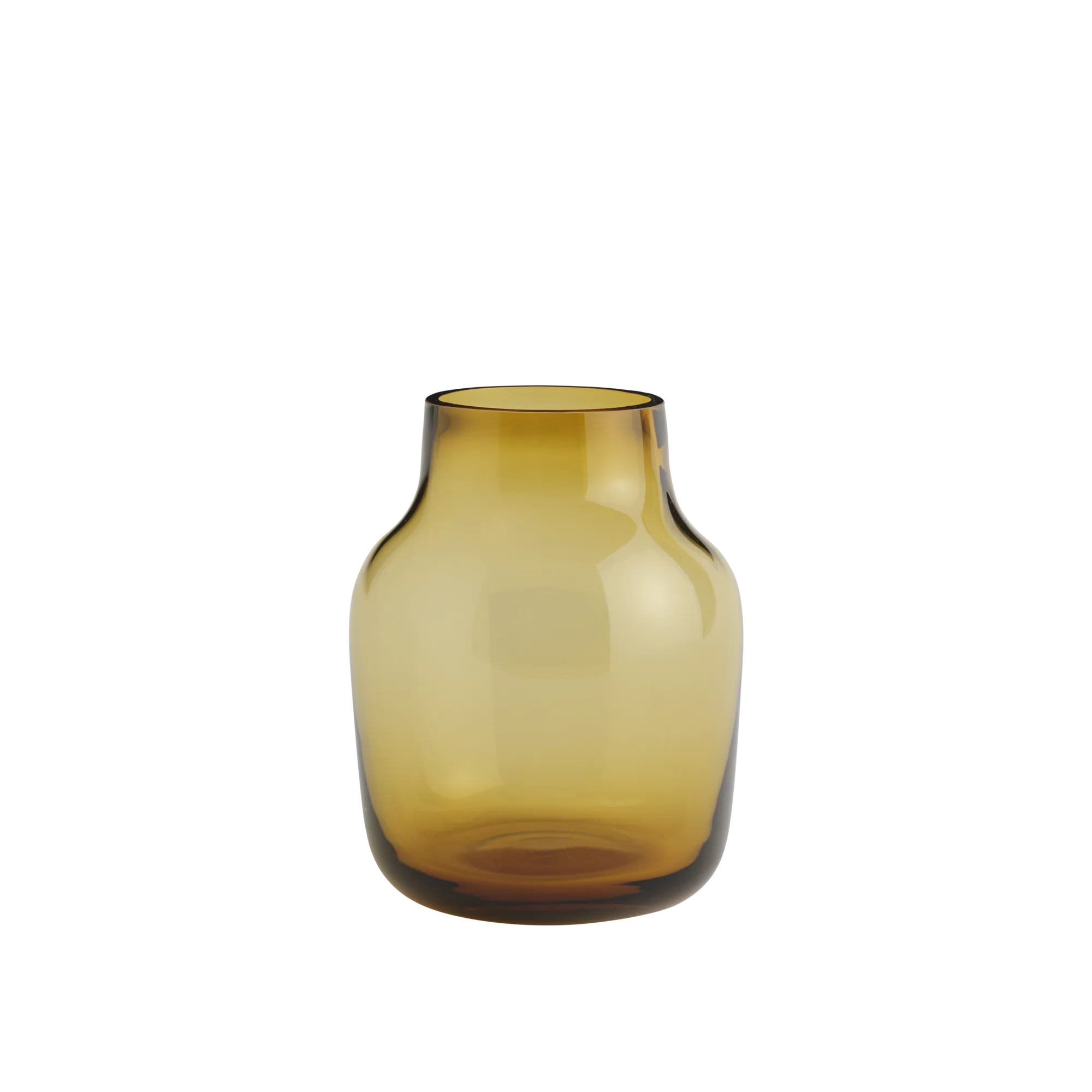 Silent Vase