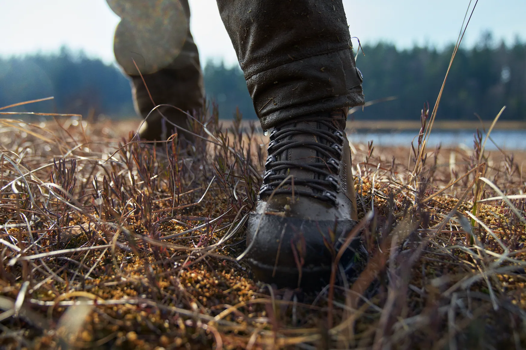 Forest Hunter Hi GTX