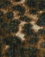BIXC