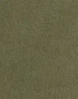 Dusty Olive