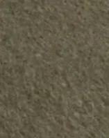Sea Turtle