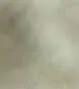 Cloud Dancer