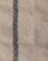 Birch Stripe
