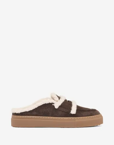 Mule Wool
