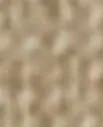 *NY*Dry Sand