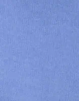 Cornflower Blue
