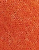 Tangerine Tango