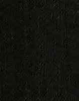 Denim Black