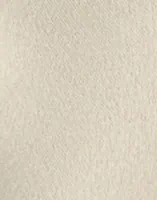 Pumice Stone