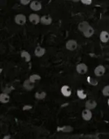 Black Black Sequins