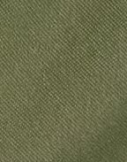 JJXX - Grøn - Jxpoppy Hw Shorts Pnt Sn
