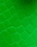 Neon Green