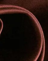 Brown Tortoise Shell