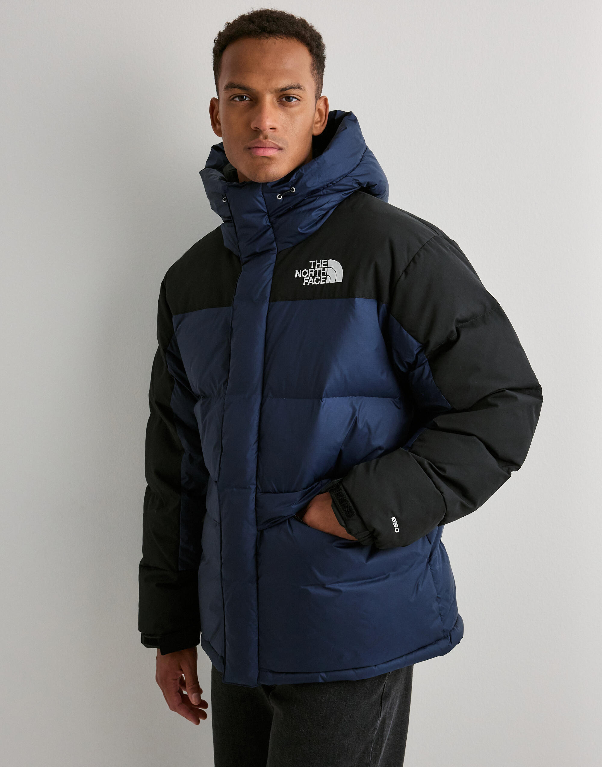 Buy The North Face M HMLYN DOWN PARKA - Navy | NLYMAN