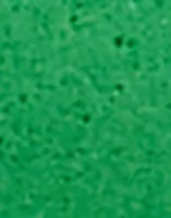 *NY*Leaf Green
