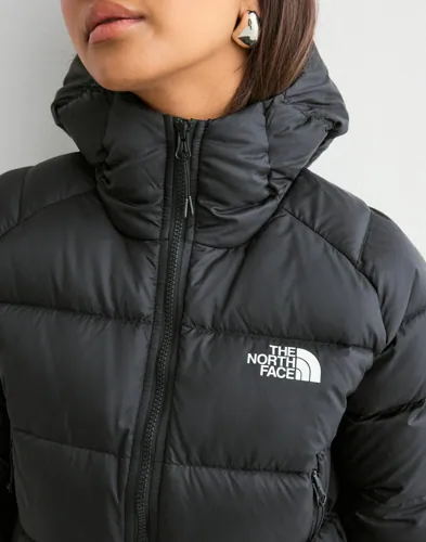 W Hyalite Down Hoodie 3