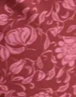Garnet Red