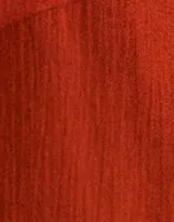 Poinciana