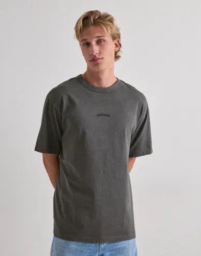 ANNARR Surfer oversize t-shirt i grått med tvättad look och texturerat tryck