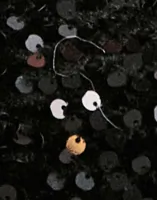 Black Black Sequins