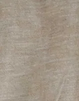 Chinchilla