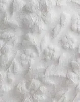Brilliant White