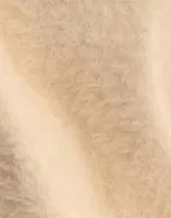Birch
