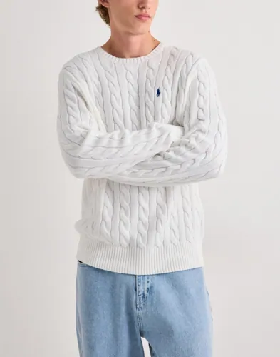Polo Ralph Lauren Ls Driver Cn-long Sleeve-pullo Stickade tröjor herr – bild 2