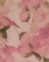 Dusty Pink
