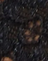 Caviar