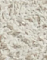 Elm