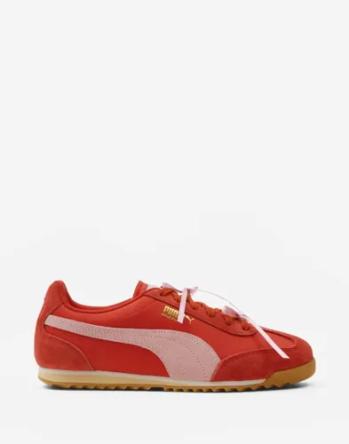 Puma - Röd - Arizona Bow Wns