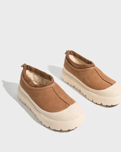 UGG M Tasman Weather Hybrid Varmfodrade tofflor herr – bild 2