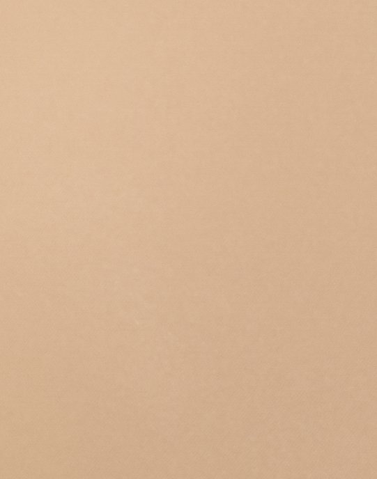 Bye Bra - Beige - Invisible Short