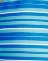 Blue/Striped